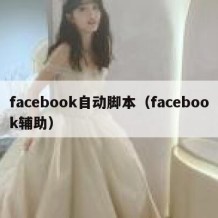 facebook自动脚本（facebook辅助）