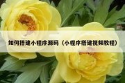 如何搭建小程序源码（小程序搭建视频教程）