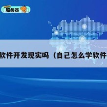 自学软件开发现实吗（自己怎么学软件开发）