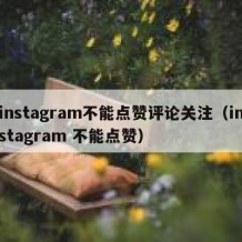 instagram不能点赞评论关注（instagram 不能点赞）