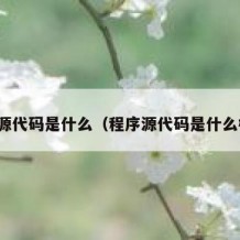 程序源代码是什么（程序源代码是什么格式）