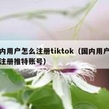 国内用户怎么注册tiktok（国内用户怎么注册推特账号）