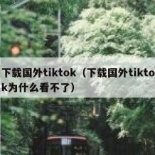 下载国外tiktok（下载国外tiktok为什么看不了）