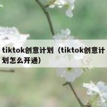 tiktok创意计划（tiktok创意计划怎么开通）