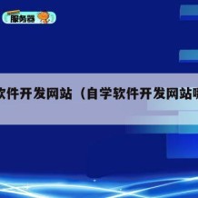 自学软件开发网站（自学软件开发网站哪个好）