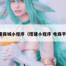 搭建商城小程序（搭建小程序 电商平台）