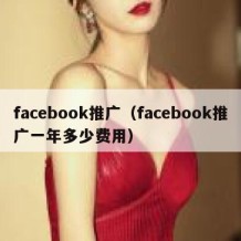 facebook推广（facebook推广一年多少费用）