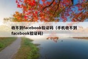 收不到facebook验证码（手机收不到facebook验证码）