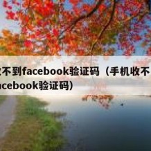 收不到facebook验证码（手机收不到facebook验证码）