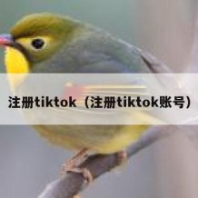 注册tiktok（注册tiktok账号）