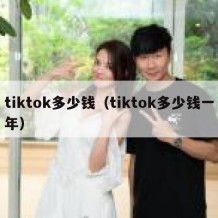 tiktok多少钱（tiktok多少钱一年）