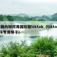 国内如何用国际版tiktok（tiktok专用梯子）