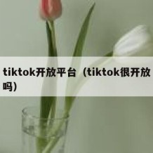 tiktok开放平台（tiktok很开放吗）