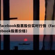 facebook股票股价实时行情（facebook股票价格）