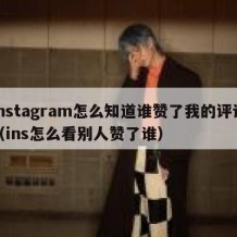 instagram怎么知道谁赞了我的评论（ins怎么看别人赞了谁）