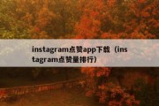 instagram点赞app下载（instagram点赞量排行）