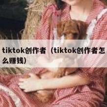 tiktok创作者（tiktok创作者怎么赚钱）