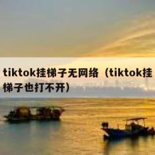 tiktok挂梯子无网络（tiktok挂梯子也打不开）