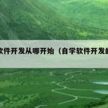 自学软件开发从哪开始（自学软件开发的步骤）