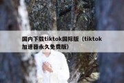 国内下载tiktok国际版（tiktok加速器永久免费版）