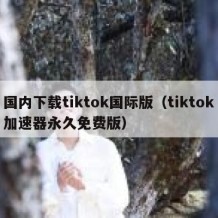 国内下载tiktok国际版（tiktok加速器永久免费版）