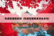 伤感短视频素材（伤感短视频素材无水印）