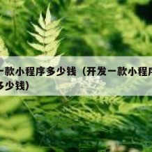 开发一款小程序多少钱（开发一款小程序到底需要多少钱）