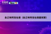 自己如何交社保（自己如何交社保最划算）