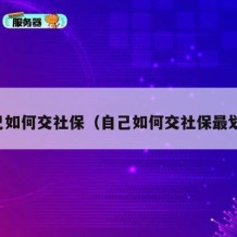 自己如何交社保（自己如何交社保最划算）