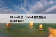 tiktok引流（tiktok引流到独立站该怎么玩）