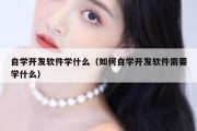 自学开发软件学什么（如何自学开发软件需要学什么）