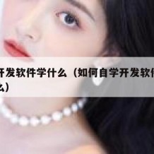 自学开发软件学什么（如何自学开发软件需要学什么）