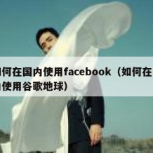 如何在国内使用facebook（如何在国内使用谷歌地球）