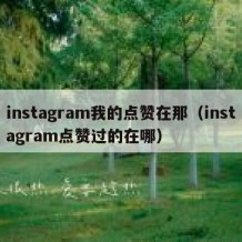 instagram我的点赞在那（instagram点赞过的在哪）