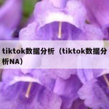 tiktok数据分析（tiktok数据分析NA）