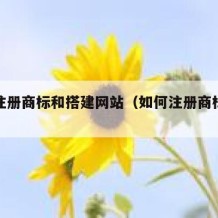 如何注册商标和搭建网站（如何注册商标流程图解）