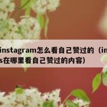 instagram怎么看自己赞过的（ins在哪里看自己赞过的内容）