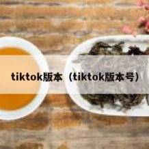 tiktok版本（tiktok版本号）