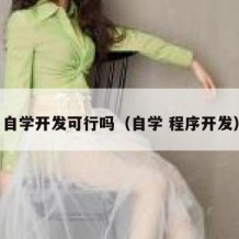 自学开发可行吗（自学 程序开发）