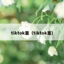 tiktok案（tiktok案）