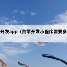 自学开发app（自学开发小程序需要多长时间）