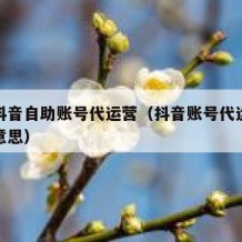 宁海抖音自助账号代运营（抖音账号代运营是什么意思）