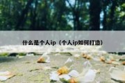 什么是个人ip（个人ip如何打造）