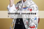 tiktok号购买（tiktok账号价值）