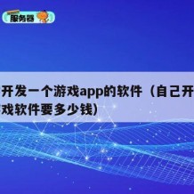 自学开发一个游戏app的软件（自己开发一个游戏软件要多少钱）