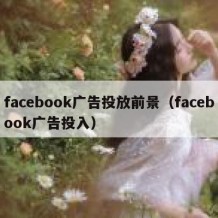 facebook广告投放前景（facebook广告投入）