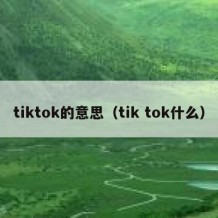 tiktok的意思（tik tok什么）