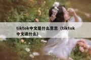 tiktok中文是什么意思（tiktok中文读什么）