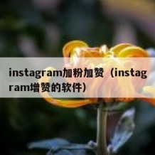 instagram加粉加赞（instagram增赞的软件）