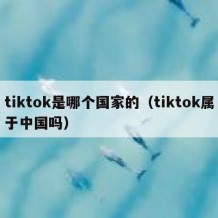 tiktok是哪个国家的（tiktok属于中国吗）